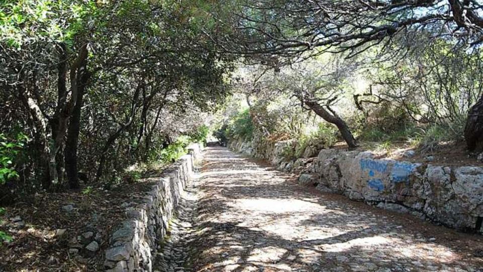 576-6323f8508da9797c9cb3d14c6917c8d9jpg