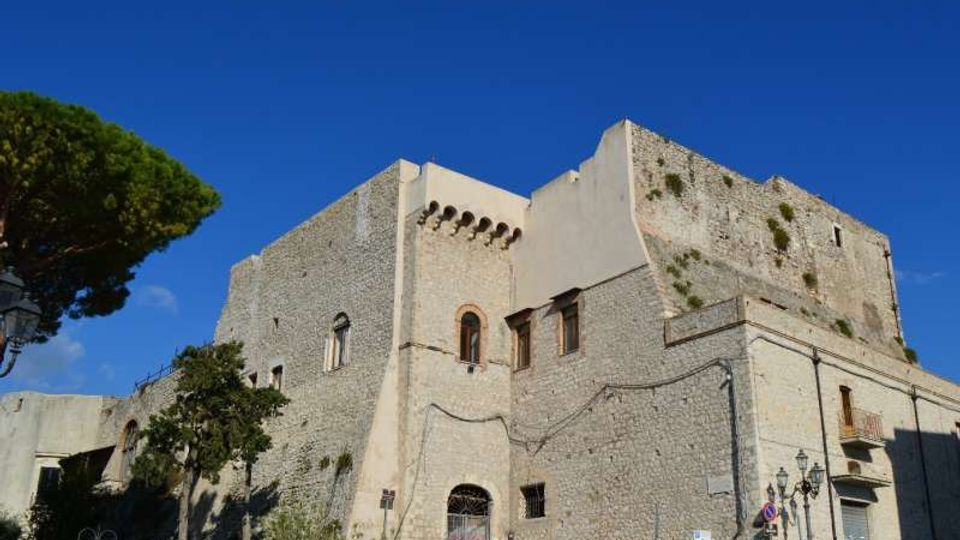 Castello o fortezza in pietra con mura alte e massicce, finestre ad arco e parte superiore merlata, situato su un lieve rialzo. In primo piano si vedono alberi e una strada con lampioni ai piedi dell’edificio, sotto un cielo azzurro limpido.