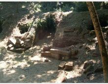 55909-photo-1821589-orig-jpgjpg