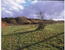 52036-photo-acquafredda-4campi-jpgjpg