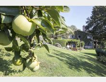 58519-photo-jac-3154-jpgjpg