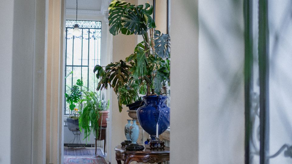 Corridoio interno luminoso con pareti bianche e soffitto alto a volta, illuminato da lampade a sospensione. Sul pavimento ci sono tappeti persiani e, lungo il lato, un tavolino in legno con vasi e grandi piante vicino a finestre con inferriate decorative.