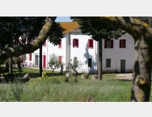 Casa rurale a due piani intonacata di bianco con persiane rosse e tetto in coppi, situata in un prato con alberi e vegetazione spontanea. In primo piano si vedono rami e tronchi che incorniciano l’edificio, con un cortile sterrato e alcuni elementi in cemento vicino all’ingresso.