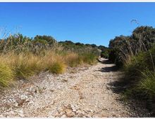 576-c707e8e899a60a34620ef354a7f6b767jpg