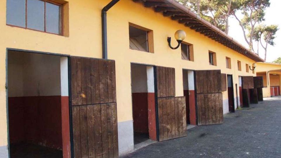 Fila di box per cavalli in una scuderia, con facciata gialla e porte a metà in legno aperte lungo un corridoio esterno. Tetto a falda con grondaie e lampade a parete, con alberi alti sullo sfondo.