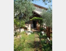 Ingresso di una casa rustica in pietra con tetto in legno, circondata da ulivi e vegetazione. Un sentiero erboso conduce a un pergolato coperto di rampicanti, con vasi decorativi, lampioni e una staccionata in legno lungo il lato destro.