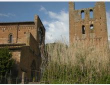 446-b9110abfb3853a77acd8518004ea45d3jpg