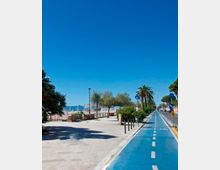 Lungomare con ampia passeggiata pavimentata e pista ciclabile blu separata dalla strada, affiancate da palme, alberi e cartelli per biciclette. Sullo sfondo si intravedono la spiaggia e il mare con montagne lontane sotto un cielo sereno.