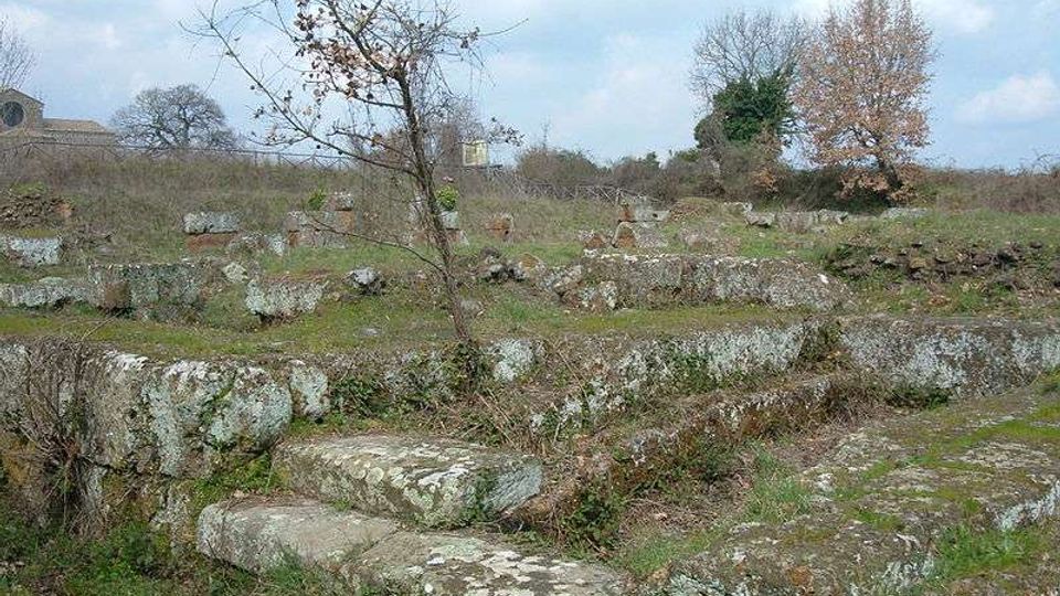 Rovine archeologiche all’aperto con gradoni e blocchi di pietra muschiati disposti su un terreno erboso. Sullo sfondo si vedono alberi spogli e un cielo nuvoloso, con alcuni muri in pietra lungo i margini del sito.