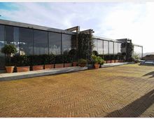 Terrazza esterna pavimentata in mattoni a spina di pesce, con una lunga facciata moderna in vetro e struttura metallica. Lungo il perimetro ci sono fioriere e vasi con siepi e alberelli, sotto un cielo aperto.