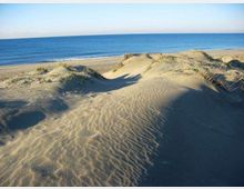 52166-photo-dune-capocotta-jpgjpg