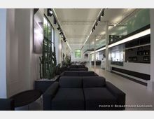 Interno di una sala lounge moderna con divani scuri allineati, grandi finestre laterali e fioriere con cactus lungo la parete. A destra si vede un lungo bancone bar con scaffali, illuminazione a binario e soffitto alto con travi a vista.