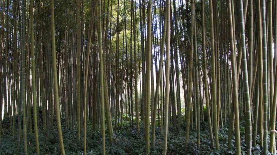 987-207322cd656aa476a5b0437aa8311dd2jpg