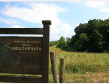 52058-photo-1200px-rn-insugherata-1-jpgjpg