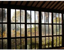 Interno con ampia parete di finestre a riquadri in legno scuro e vetri alti, sotto un soffitto con travi. Attraverso i vetri si vede un giardino con vegetazione e alberi illuminati dalla luce del sole.