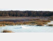 52147-photo-monumento-naturale-della-caldara-di-manziana-jpgjpg