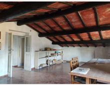 58072-photo-img-20210311-121742-jpgjpg