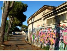 Edificio basso con facciata curva e finestre con grate, ricoperto di graffiti colorati lungo un vialetto asfaltato. A sinistra si vedono alti pini e un’area esterna con altri muri dipinti, sotto un cielo sereno.