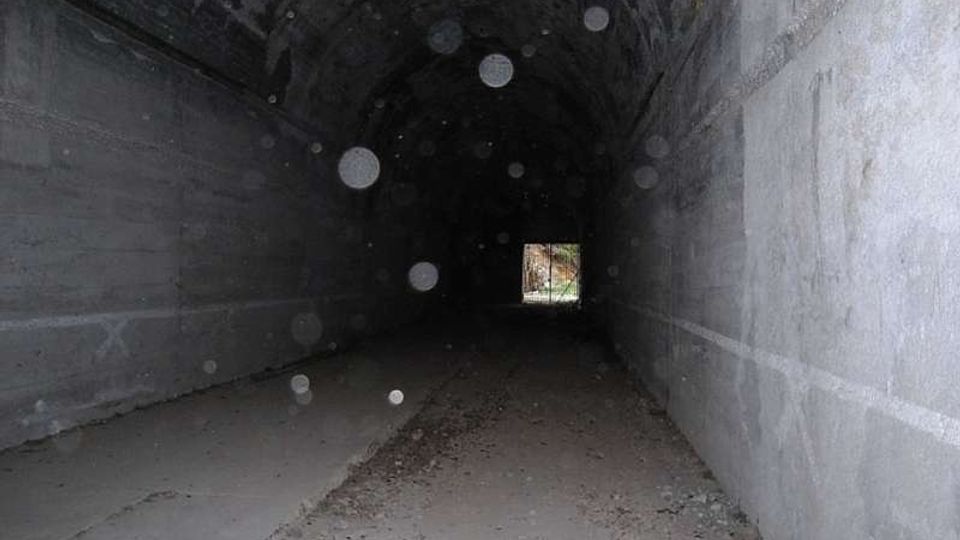 Interno di un tunnel in cemento con volta semicircolare e pareti grezze, illuminato solo da una piccola apertura quadrata in fondo. Il pavimento è coperto di polvere e detriti, con tracce di foglie lungo il passaggio.