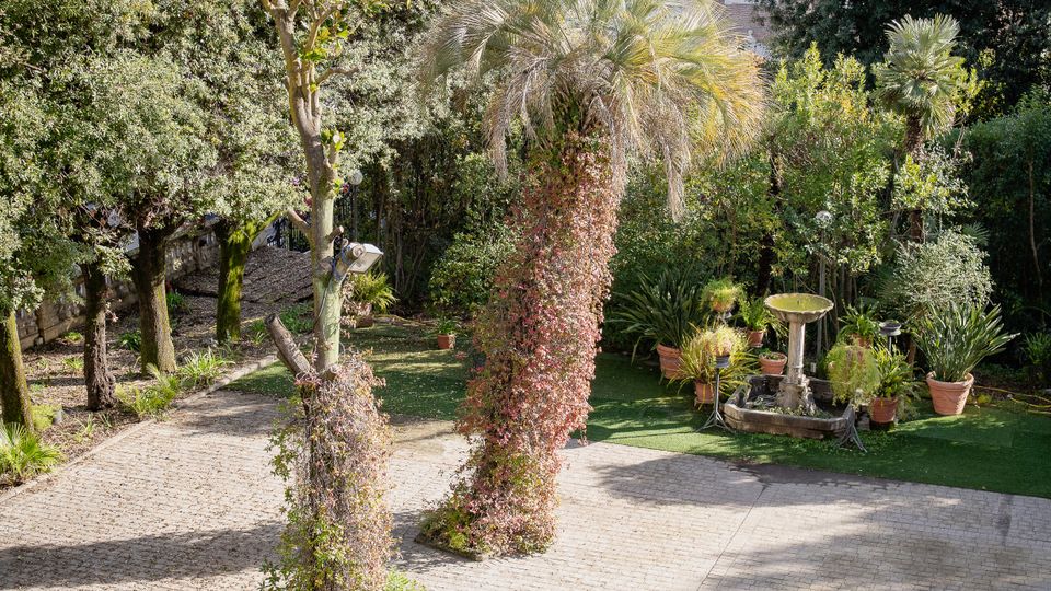 Giardino alberato con vialetto pavimentato in pietra, palme e aiuole con numerosi vasi; al centro si vede una piccola fontana rotonda. Sullo sfondo compaiono edifici residenziali parzialmente nascosti dalla vegetazione.