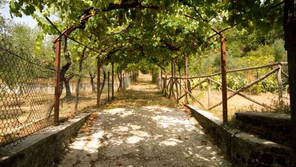 463-f83056189a075c494ab5e3da0f917884jpg