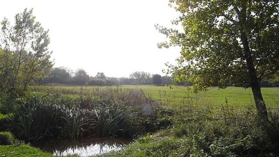 560-cab470069fba2415f52f17227ba3a6adjpg