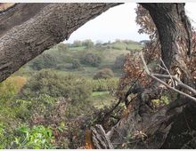 560-519b4467cba8c5892e7e5d8208532170jpg