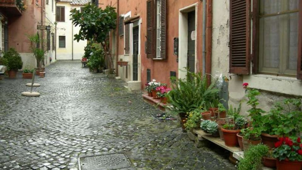 Vicolo stretto con pavimentazione in ciottoli tra case intonacate, con finestre e persiane in legno. Lungo i muri ci sono numerosi vasi di piante e fiori e una piccola pianta alberata vicino al centro della strada.