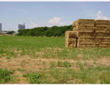 52135-photo-dsc01919-jpgjpg