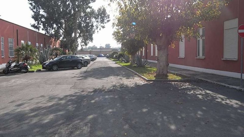 Cortile asfaltato tra due edifici bassi in mattoni rossi, con finestre a persiana e aiuole con alberi e piante lungo i lati. Sul bordo della strada sono parcheggiate diverse auto e si vede un cartello di divieto di accesso vicino all’edificio a destra.