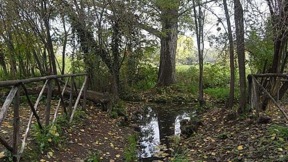 560-9b4d7946a2b10bee1279d846df4a10fbjpg