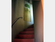 3005-724ca58ed89cc445e685459b5250633ajpg