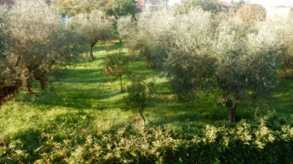 51060-photo-07a-jpgjpg