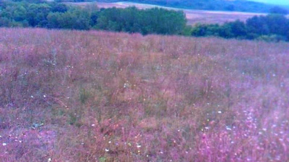 525-8e977396d0d4330f088cc8140d38825fjpg