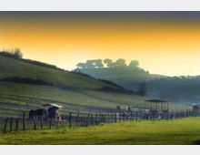 Paesaggio rurale collinare con ampi prati verdi recintati e un’area agricola con piccole strutture e tettoie sul fondovalle. Sullo sfondo, una collina con alberi in controluce sotto un cielo sfumato al tramonto o all’alba.