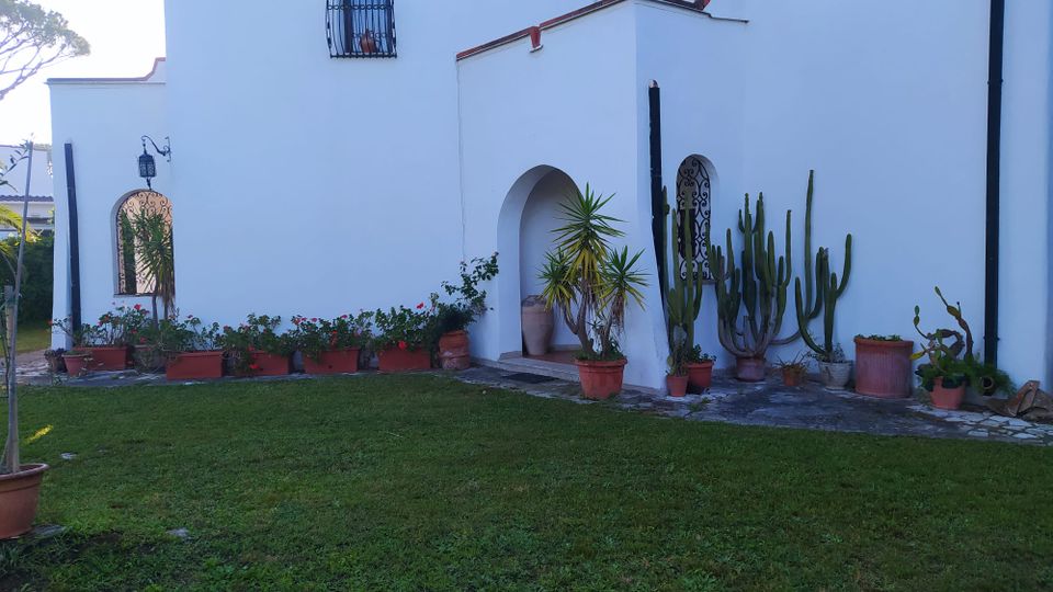 Cortile con prato davanti a una casa bianca in stile mediterraneo, con portico ad arco e finestre con inferriate. Lungo il muro ci sono vasi e fioriere con piante ornamentali e cactus, su un camminamento in pietra.