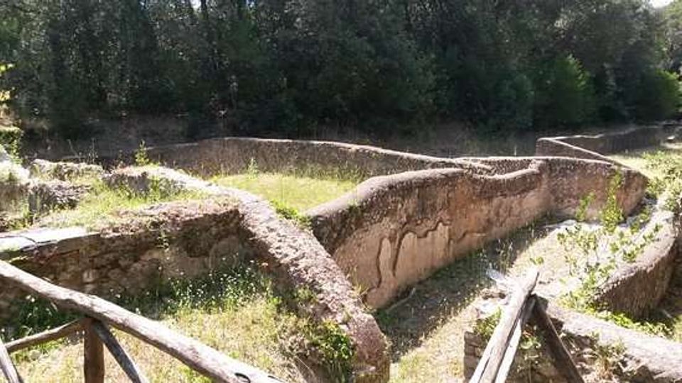 51936-photo-parco-urbano-pineta-di-jpgjpg