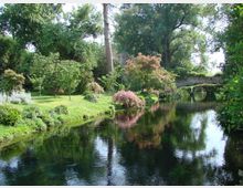 45048-photo-giardino-dsc06092-jpgjpg