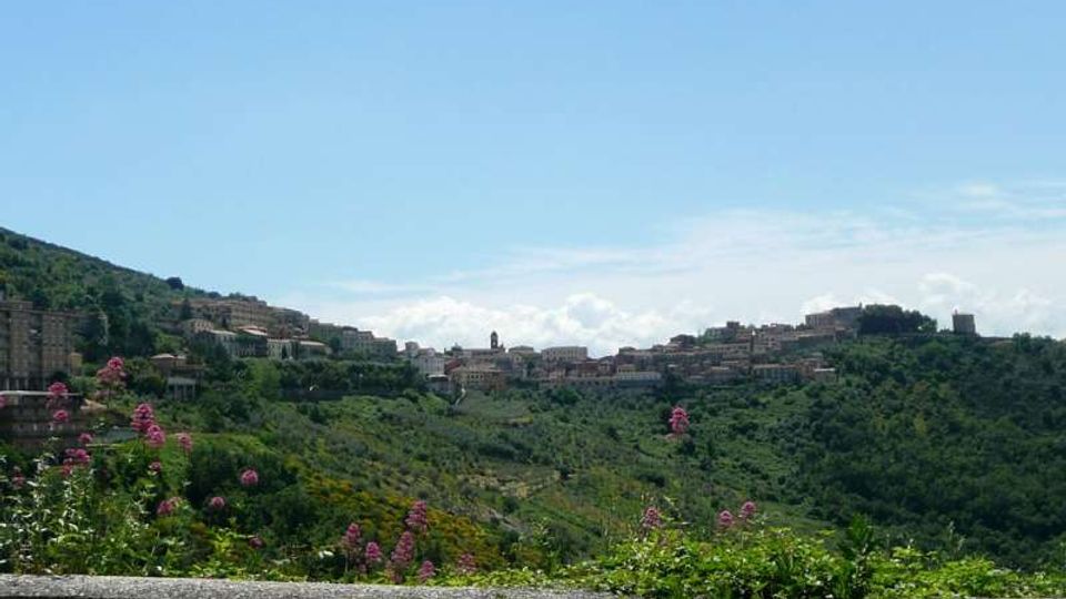 Panorama di un borgo collinare con edifici e torri disposti lungo la cresta, circondato da una valle verde e boscosa. In primo piano si vede un muretto in pietra con vegetazione e fiori rosa, sotto un cielo azzurro limpido.