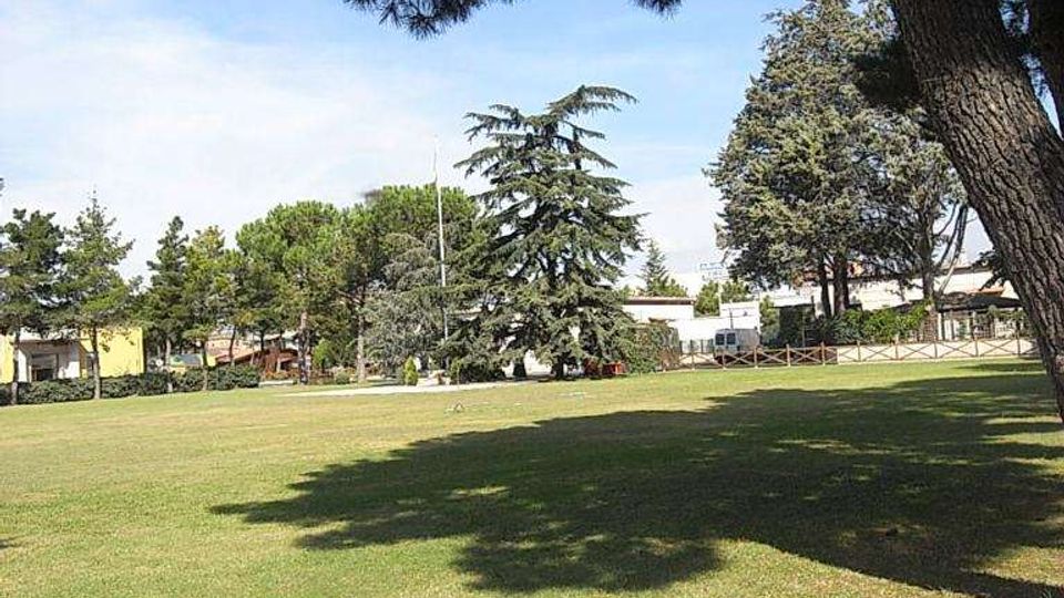 Ampio prato in un parco con alberi alti e sempreverdi, con i rami di un grande pino in primo piano che proiettano ombre sull’erba. Sullo sfondo si vedono una recinzione bassa e alcuni edifici bassi lungo il margine dell’area verde.