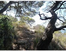 576-e54bae12c7399f0342c4cf619d45eecejpg