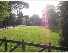 Ampio prato recintato con staccionata in legno in un parco alberato, con pini alti e altre piante sullo sfondo. Dietro al prato si vedono alcuni edifici bassi e un vialetto, con forte luce solare e riflessi nell’inquadratura.