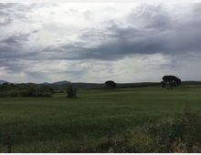 52013-photo-photo4jpg-jpgjpg