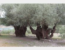 49505-photo-7-jpgjpg