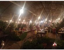 Ampio ristorante all’interno di una serra con struttura metallica e soffitto alto, illuminato da numerose lampadine sospese e lanterne. Tavoli apparecchiati con sedie colorate sono distribuiti tra molte piante e decorazioni appese.