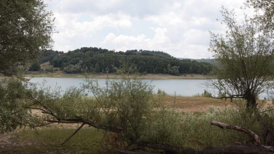 49503-photo-8-jpgjpg