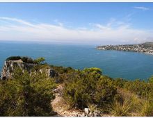 576-f794bf72a3334df320af7de7b421402cjpg