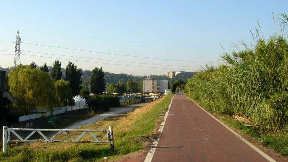 Pista ciclabile asfaltata di colore rossastro che corre lungo un argine, con canneti alti sulla destra e vegetazione e campi sulla sinistra. Sullo sfondo si vedono alcuni edifici, alberi e linee elettriche sotto un cielo sereno.
