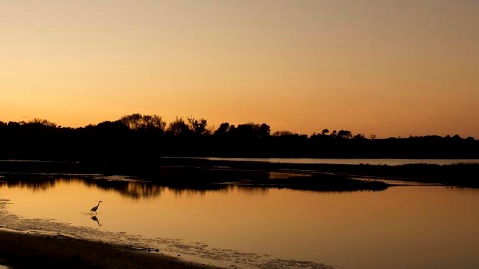 Veduta di una laguna o fiume calmo al tramonto, con acqua riflettente e basse lingue di sabbia in primo piano. All’orizzonte si vede una linea di alberi in silhouette sotto un cielo sfumato dal giallo all’arancione.