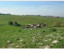 51841-photo-inviolata-tomba-jpgjpg